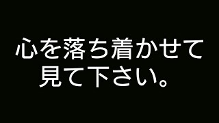 心を落ち着かせて見て欲しい動画
