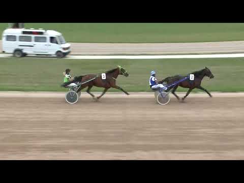 2018.06.16. 5. futam - BROWN LADY DÍJ