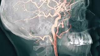 الله لا إله إلا هو الحي القيوم لا تأخذه