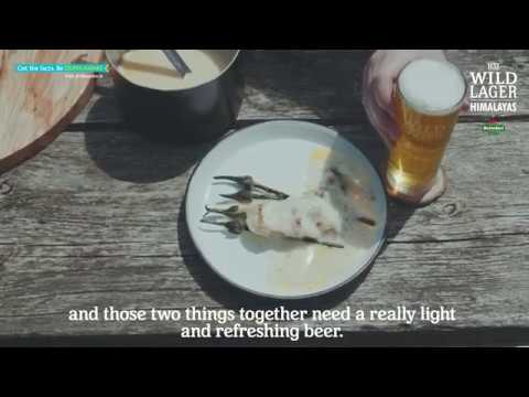 Heineken Wild Lager Patagonia