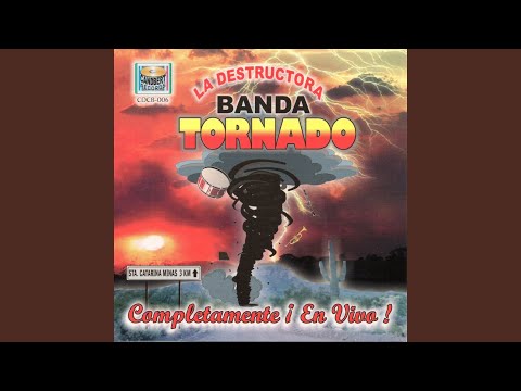 Mi Gusto Es / El Sauce y la Palma / El Sinaloense / Vamonos de Fiesta / Que Casualidad (En Vivo)