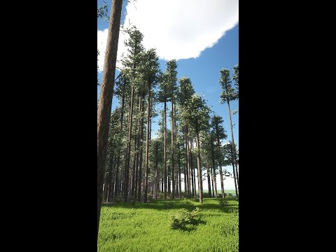 You've never seen a Minecraft forest mod so realistic (Ray Tracing) #shorts