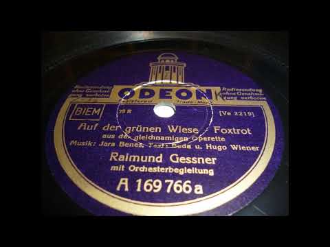 Raimund Gessner mit Orchester, Auf der grünen Wiese  Foxtrot, Wien, 1936