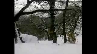 preview picture of video 'Wintertraum: Wanderung zum Gipfelkreuz des Maunert in Taben-Rodt Kreis Trier - Saarburg'