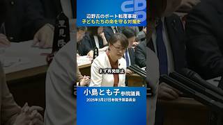【辺野古沖ボート事故】船舶の登録義務化は令和9年!? 小島とも子議員が国の対応を追及！