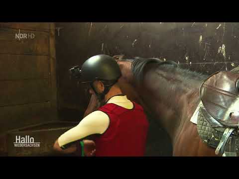 Hans Jürgen Gröschel und Iquitos beim Training auf der Neuen Bult 1 05 2018