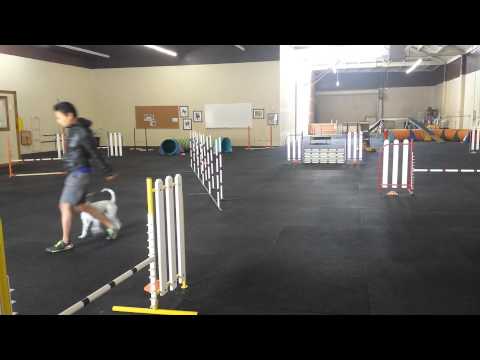 Bev and Pixie 2- 04/02/2014