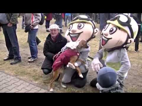 Dostihový spolek (videoohlédnutí) - Velká pardubická s Českou pojišťovnou 2016