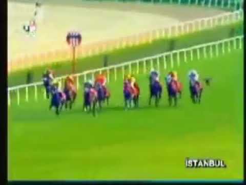 YUDUM               07/08/2005                  İSTANBUL