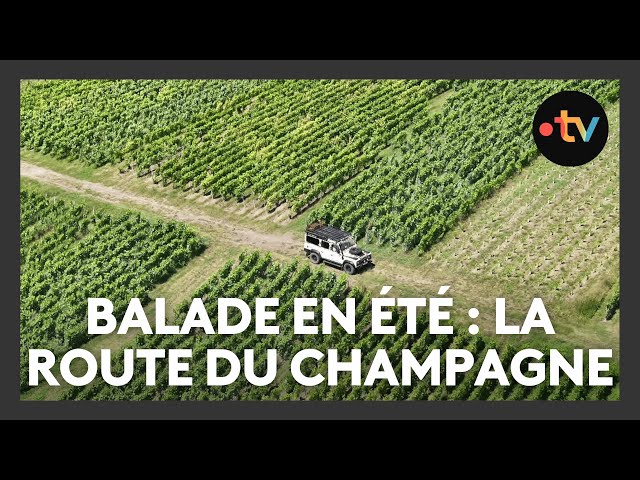 Excursion d’un jour en Champagne : visite et dégustation - Exploregion