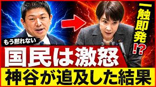 【政界波紋】神谷宗幣が国会で断言「国民はベビーシッター減税を求めていない」少子化政策の迷走に批判殺到【参政党】