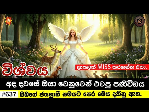 ඔබ ඔබේ ජයග්‍රාහී සමයට ඇතුළු වීමට පෙර ඔබ මෙය අනිවාර්යෙන් දකිනු ඇත. Your today's divine message