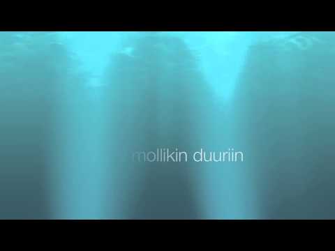 Scoogie Bros - Näin tapahtuu