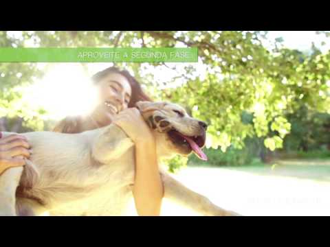 Vídeo do Luv - Tour virtual