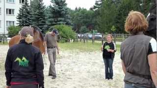 preview picture of video 'Natural Horsemanship 1 in Ziemendorf'