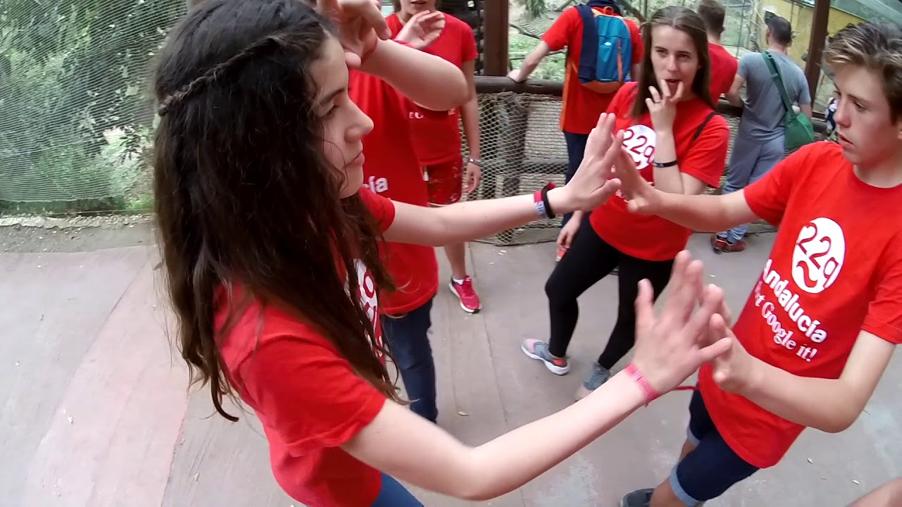 Día Internacional 22q11 2018