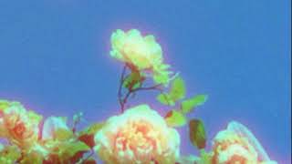 pollari &amp; lil skies ~ battlescars ﾉ slowed + reverb ﾉ