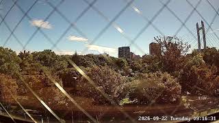 東京都江東区平野ライブカメラ Tokyo Koto Live camera.world.cam live webcam
