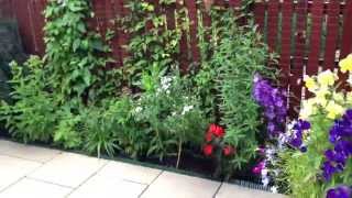 preview picture of video 'Garden Perennial Borders, Hanging baskets. Oxfordshire.'