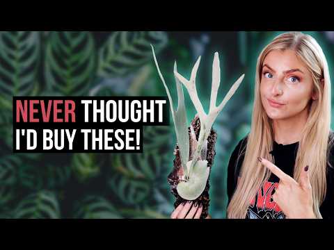 These New Plants Aren't What You Think...