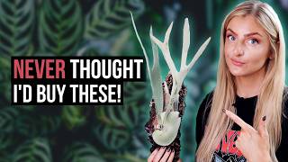 These New Plants Aren't What You Think...