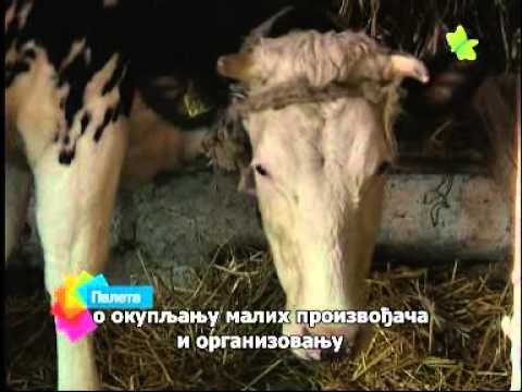 Paleta po ruski 19.2.2014. - Палета по руски 19.2.2014.