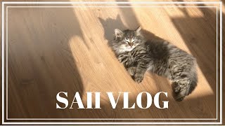 vlog 30. caring for my new adopted kitty!