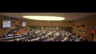 VOSAP's Side Event at UN's 11th Conference
