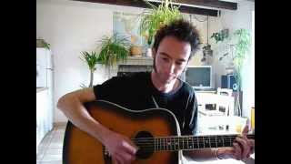 Tommy Emmanuel Angelina cover, reprise par Damien Pineau