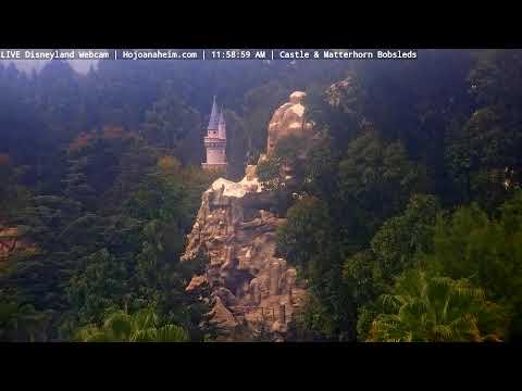 Live webcam of Disneyland Cam