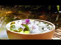 The Garden Gurus - Classic Water Lily Bowl