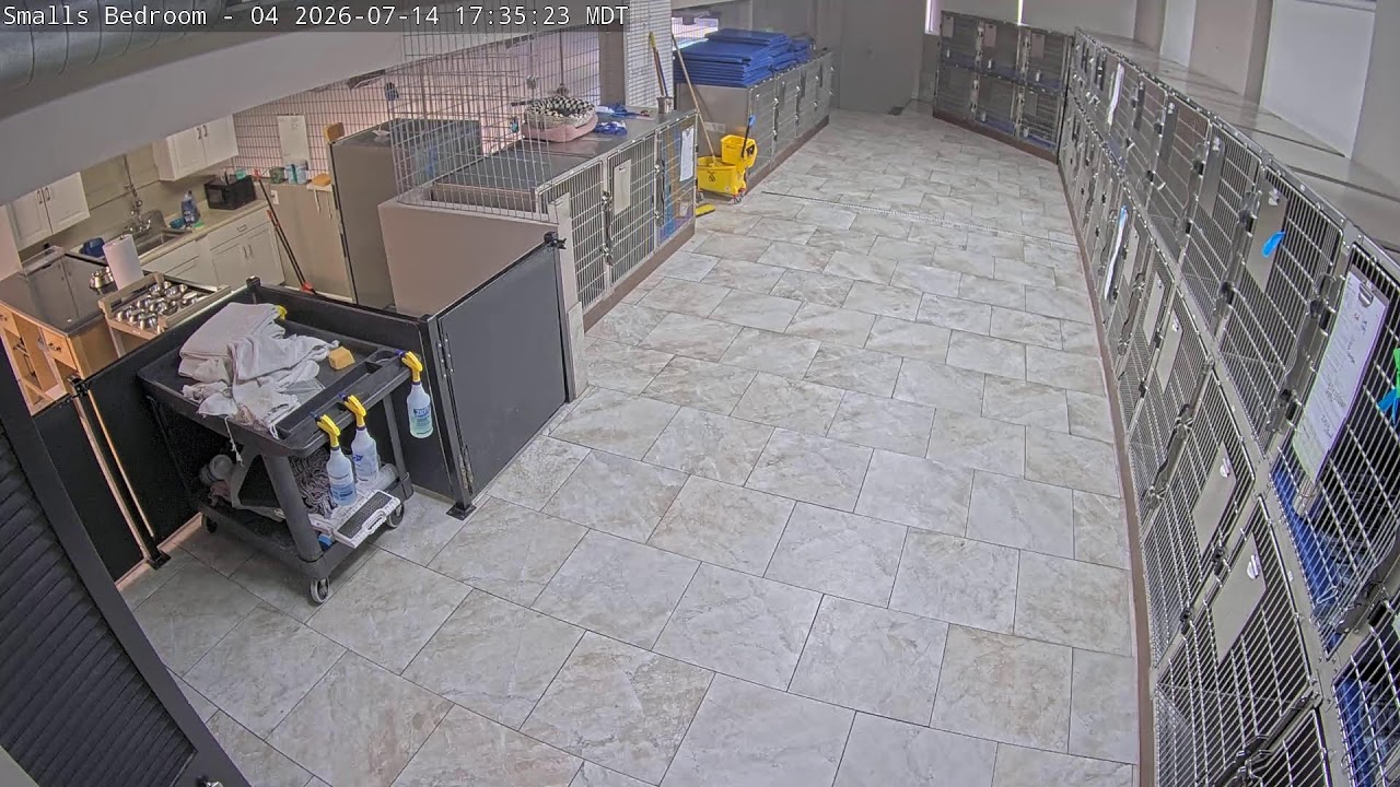 Live webcam view of DogMode Small Dogs Bedroom