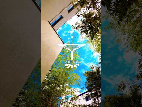 【福井】つるや旅館「福の湯」【あわら温泉つるや】#旅館 #温泉 #福井県