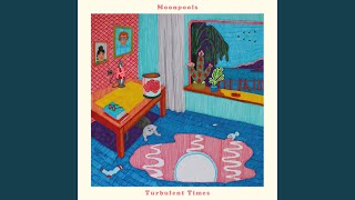 Shoulda Woulda Coulda