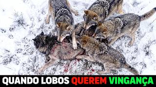 🚨 Lobo EXPULSO DO BANDO treina NOVA ALCATÉIA e volta PARA SE VINGAR
