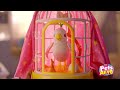 Do You Want To See A Magic Trick Polly The Magic Bird