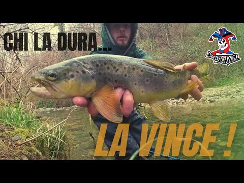 Chi la dura la vince! | Le Trote più furbe le pesca solo chi non molla! | Apertura Trota |