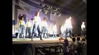 preview picture of video 'Danzas Nativas Sur -2012'