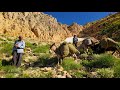 Nomadic Life Nomadic Green Shelter Nomadic Journey Through Dangerous Mountain Paths ️