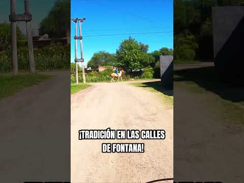 ¿SOLO PARA CARROS? Mirá este caballo en Fontana 🐎✨