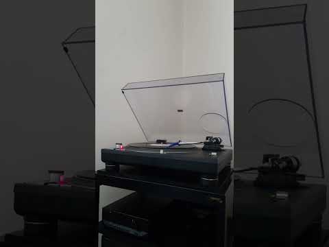 The Klub Family feat. Sybil 'When I Fall In Love' (Main Vocal Mix). 1998 Funky People Records.