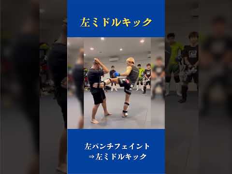 【左ミドルキック】明日から使える左ミドルを当てるフェイント　#格闘技 #キックボクシング #朝倉未来 #mma #ufc