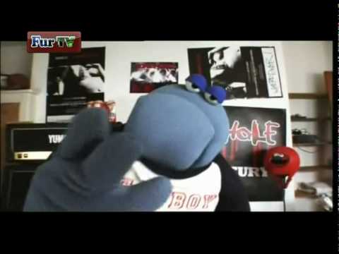 Zsiros ED bevezetője a METAL-ba [FUR TV] MAGYAR HANG