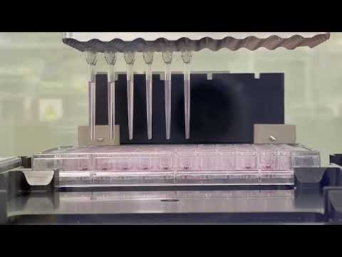 Biomek i7 Multichannel selective tip option