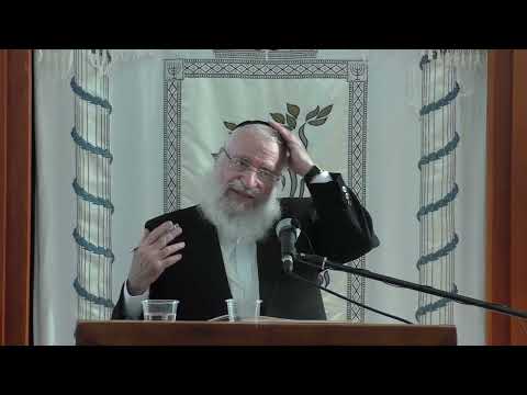 עבד ואמה שהזיקו | שיעור כללי מאת מרן הרב אשר וייס שליט"א | מסכת בבא קמא