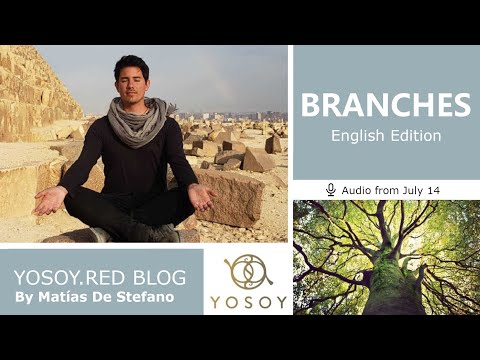 Day 345 - BRANCHES - Matías De Stefano - YOSOY.RED BLOG: Plexus -Emotional-Cancer, Read by Joan 7/14