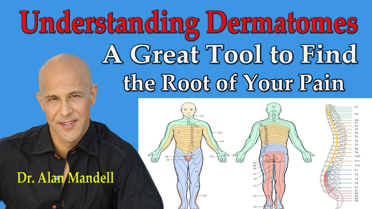 Understanding Dermatomes -- A Great Tool to Find the Root of Your Pain - Dr Mandell - YouTube