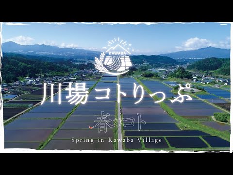 川場村　春のコト