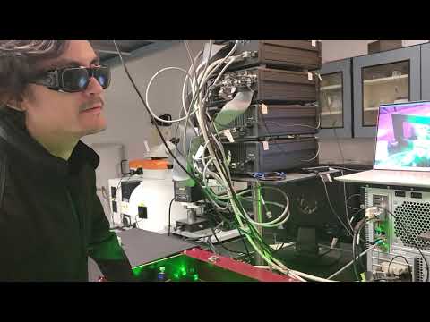 Ultrafast magneto-optical spectroscopy