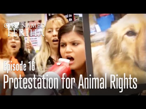 Protestation for animal rights - The Girl Named Feriha Episode 16